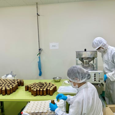 NMN MIZUKI Factory Tour gallery